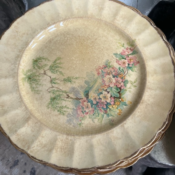 Imperial ware porcelain breath o spring dinner plates yellow 11 plates 1930s - Picture 8 of 17